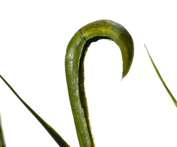 Dekogras^DecoWoerner Künstlicher Graszweigbusch 90 Cm grün