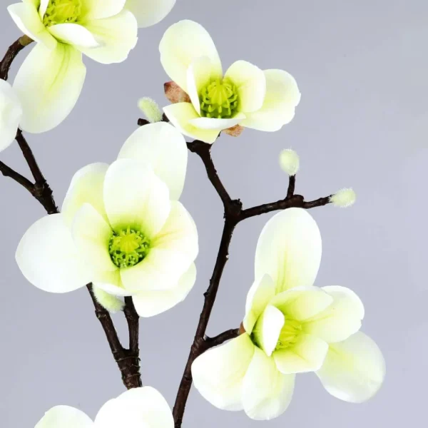 Frühlingsdeko | Äste & Zweige^DecoWoerner Künstlicher Magnolienzweig, -grün, 100 Cm weiß