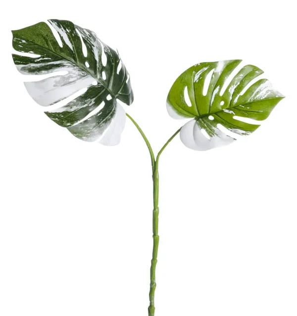 Sommerdeko | Blätter^DecoWoerner Künstlicher Monstera Deliciosa Albo Variegata Blätter-Zweig 85 Cm grün