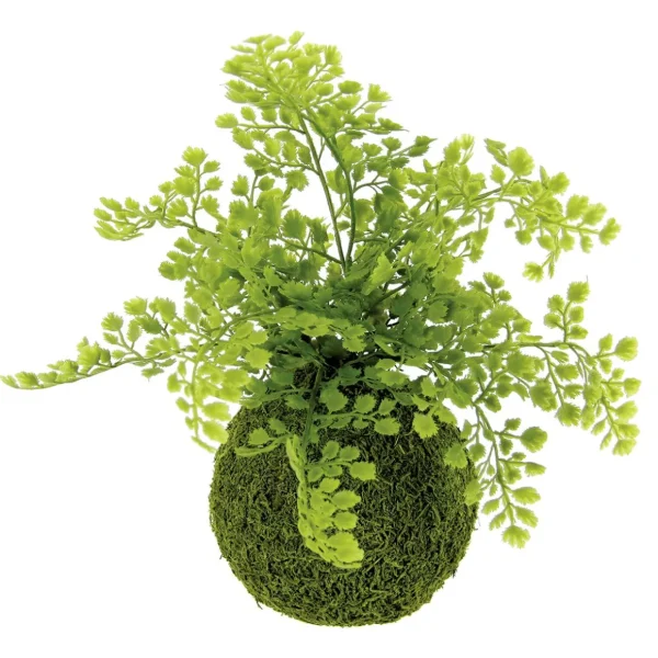 Grünpflanzen | Zimmerpflanzen^DecoWoerner Künstlicher Mooskugel Mit Frauenhaarfarn 30 Cm grün