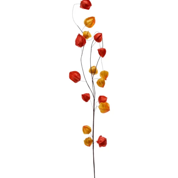 Herbstdeko | Äste & Zweige^DecoWoerner Künstlicher Physalis-Zweig, 80 Cm orange
