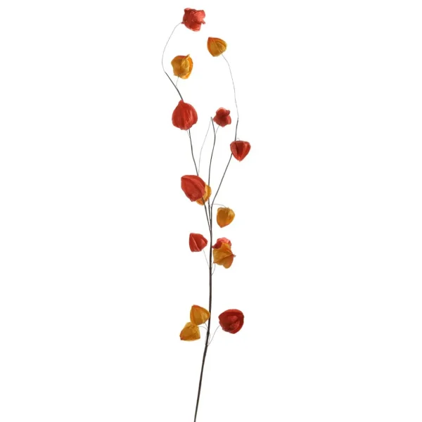 Herbstdeko | Äste & Zweige^DecoWoerner Künstlicher Physalis-Zweig, 80 Cm orange