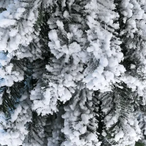 Künstliche Weihnachtsbäume^DecoWoerner Künstlicher, Schmaler Tannebaum, Beschneit 150 Cm weiß