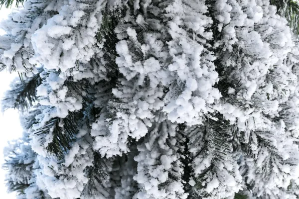 Künstliche Weihnachtsbäume^DecoWoerner Künstlicher, Schmaler Tannebaum, Beschneit 150 Cm weiß