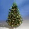 Künstliche Weihnachtsbäume^DecoWoerner Künstlicher Spritzguss-Weihnachtsbaum Rottanne Mit LED 180 Cm grün