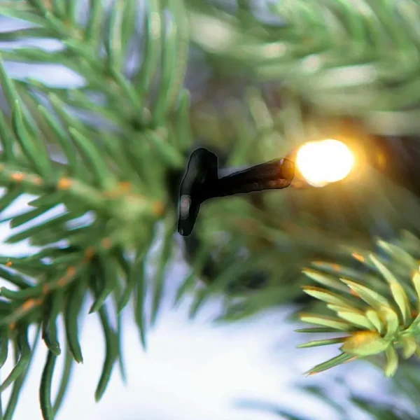 Künstliche Weihnachtsbäume^DecoWoerner Künstlicher Spritzguss-Weihnachtsbaum Rottanne Mit LED 180 Cm grün