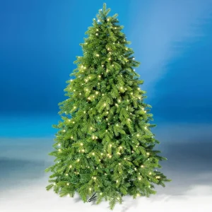 Künstliche Weihnachtsbäume^DecoWoerner Künstlicher Weihnachtsbaum Nordmanntanne Mit LED 210 Cm grün