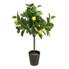 Kunstbäume^DecoWoerner Künstlicher Zitronenbaum 70 Cm gelb