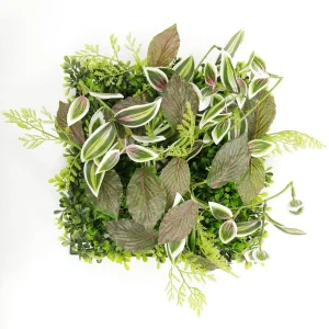 Pflanzenwände^DecoWoerner Künstliches Fittonia-Buchs-Paneel 25 X 25 Cm grün