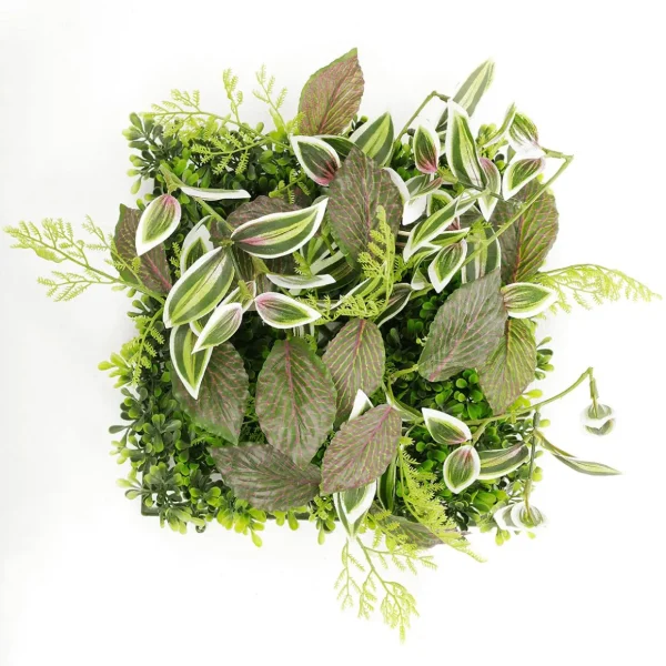Pflanzenwände^DecoWoerner Künstliches Fittonia-Buchs-Paneel 25 X 25 Cm grün