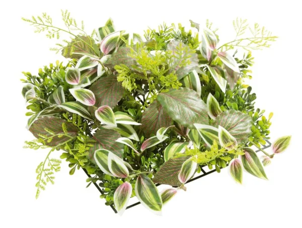 Pflanzenwände^DecoWoerner Künstliches Fittonia-Buchs-Paneel 25 X 25 Cm grün