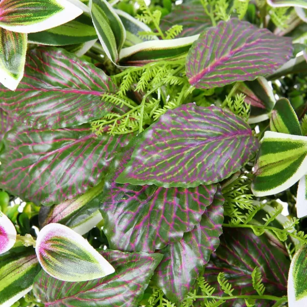 Pflanzenwände^DecoWoerner Künstliches Fittonia-Buchs-Paneel 25 X 25 Cm grün