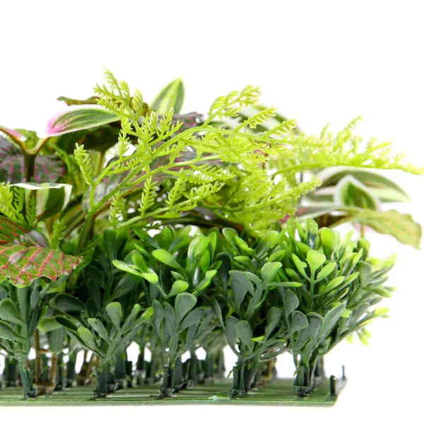 Pflanzenwände^DecoWoerner Künstliches Fittonia-Buchs-Paneel 25 X 25 Cm grün