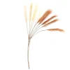 Dekogras^DecoWoerner Künstliches Pampas Gras, 115 Cm Lang, 2 Stück braun