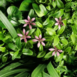 Osterdeko | Pflanzenwände^DecoWoerner Künstliches Wandgarten-Paneel, 75 Cm grün