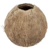 Sommerdeko^DecoWoerner Kokosnuss 12 Cm Ø Befüllbar braun