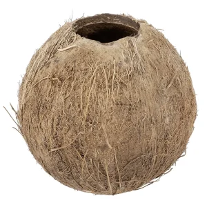Sommerdeko^DecoWoerner Kokosnuss 12 Cm Ø Befüllbar braun