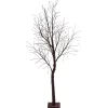 Winterdeko | Herbstdeko^DecoWoerner Kunstbaum Ohne Blätter, 200 Cm braun