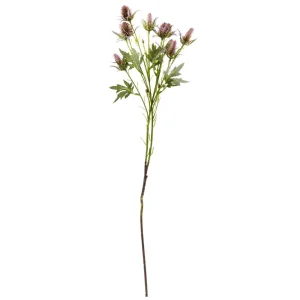 Herbstdeko | Kunstblumen^DecoWoerner Kunstblume Distel Lila, 68 Cm violett