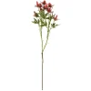 Herbstdeko | Kunstblumen^DecoWoerner Kunstblume Distel , 68 Cm rot