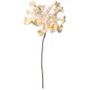 Frühlingsdeko | Kunstblumen^DecoWoerner Kunstblume Frangipani 85 Cm weiß