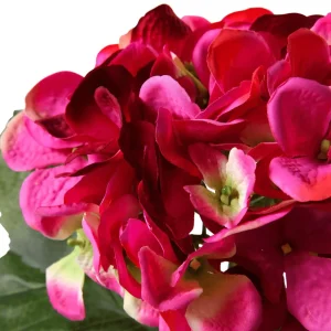 Kunstblumen | Frühlingsdeko^DecoWoerner Kunstblume Hortensie Pink, 52 Cm rosa