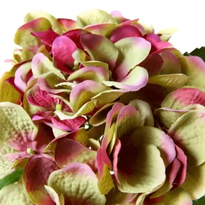 Kunstblumen^DecoWoerner Kunstblume Hortensie Rosa-grün, 52 Cm mehrfarbig