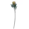 Herbstdeko | Kunstblumen^DecoWoerner Kunstblume Protea, 72 Cm grün