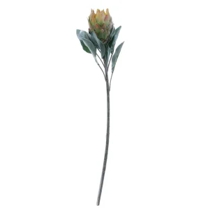 Herbstdeko | Kunstblumen^DecoWoerner Kunstblume Protea, 72 Cm grün