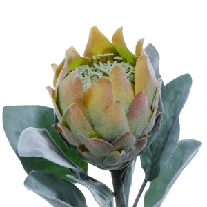 Herbstdeko | Kunstblumen^DecoWoerner Kunstblume Protea, 72 Cm grün