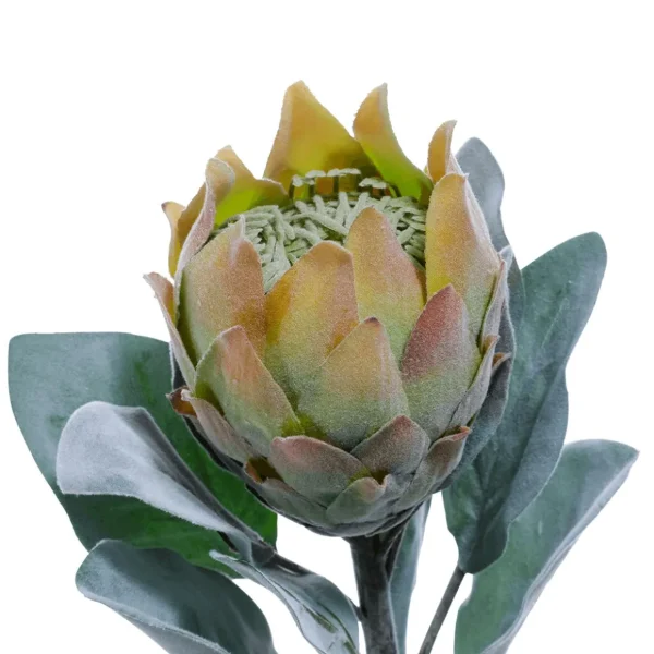 Herbstdeko | Kunstblumen^DecoWoerner Kunstblume Protea, 72 Cm grün