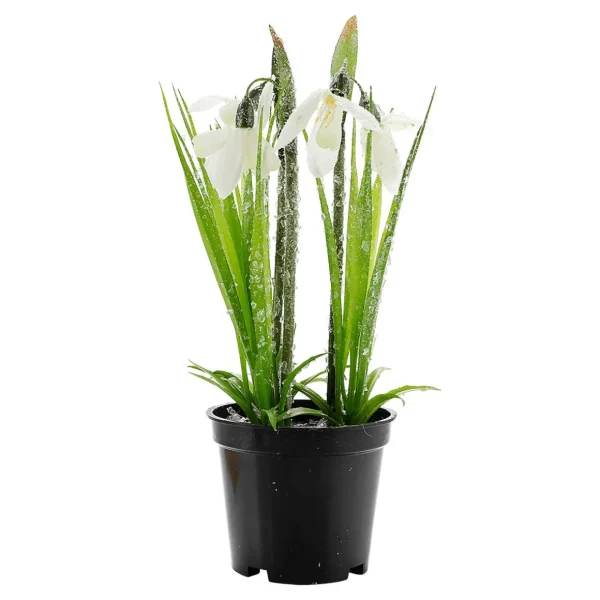 Frühlingsdeko | Kunstblumen^DecoWoerner Kunstblume Schneeglöckchen Im Topf, 20 Cm Hoch weiß