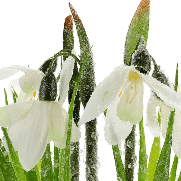 Frühlingsdeko | Kunstblumen^DecoWoerner Kunstblume Schneeglöckchen Im Topf, 20 Cm Hoch weiß