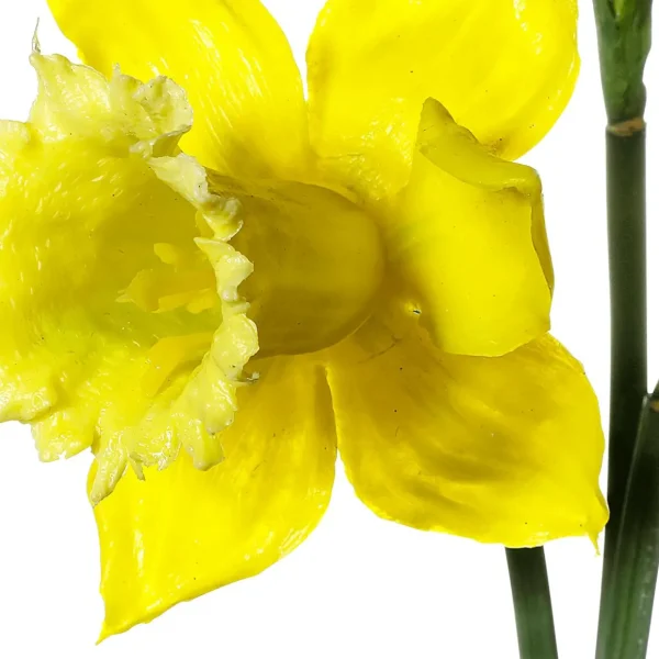 Herbstdeko | Kunstblumen^DecoWoerner Kunstblumen, Narzissen Bund à 3 Stück gelb