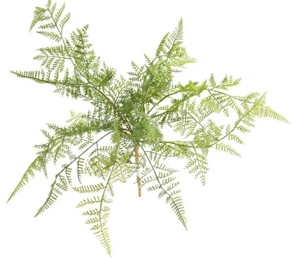 Grünpflanzen^DecoWoerner Kunstfarn Pick 30 Cm Ø grün