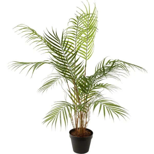 Sommerdeko | Kunstbäume^DecoWoerner Kunstpalme Areca Im Topf, 80 Cm grün