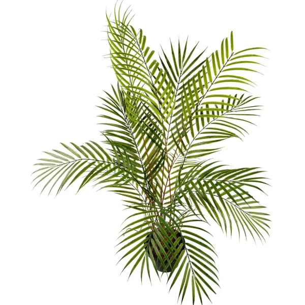 Sommerdeko | Kunstbäume^DecoWoerner Kunstpalme Areca Im Topf, 80 Cm grün