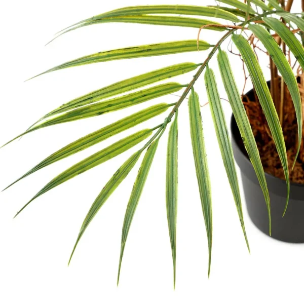 Sommerdeko | Kunstbäume^DecoWoerner Kunstpalme Areca Im Topf, 80 Cm grün