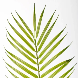 Sommerdeko | Kunstbäume^DecoWoerner Kunstpalme Areca Im Topf, 120 Cm grün
