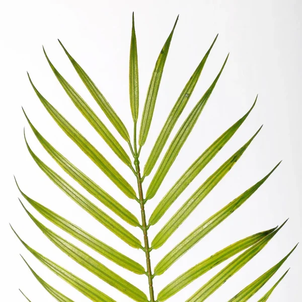 Sommerdeko | Kunstbäume^DecoWoerner Kunstpalme Areca Im Topf, 120 Cm grün