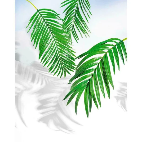 Sommerdeko | Blätter^DecoWoerner Kunstpalmen-Areca-Wedel, 115 Cm grün