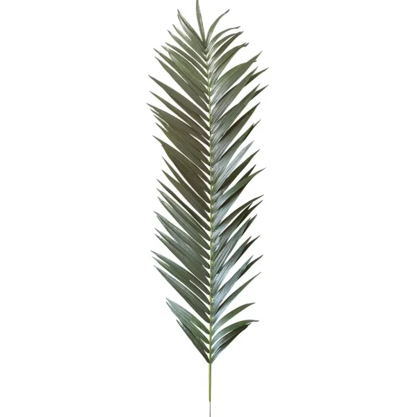 Sommerdeko | Blätter^DecoWoerner Kunstpalmen-Königs-Wedel, 240 Cm grün