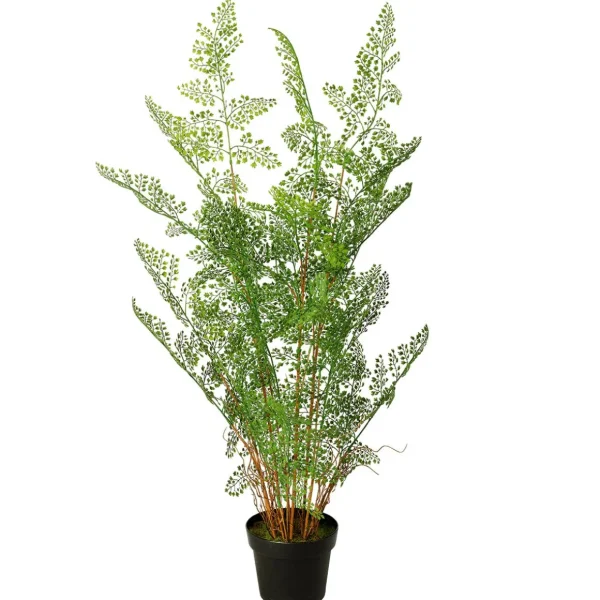 Sommerdeko | Grünpflanzen^DecoWoerner Kunstpflanze Farn Im Topf, 115 Cm grün
