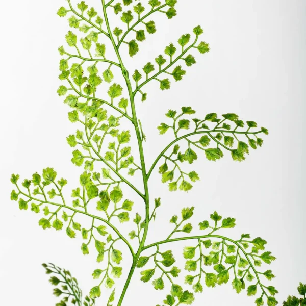 Sommerdeko | Grünpflanzen^DecoWoerner Kunstpflanze Farn Im Topf, 115 Cm grün