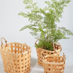 Sommerdeko | Grünpflanzen^DecoWoerner Kunstpflanze Farn Im Topf, 115 Cm grün