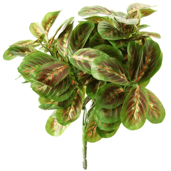 Grünpflanzen | Blätter^DecoWoerner Kunstpflanze Maranta-Busch, 30 Cm grün