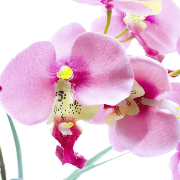 Zimmerpflanzen | Kunstblumen^DecoWoerner Kunstpflanze Orchidee Im Topf , 28 Cm rosa