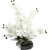 Zimmerpflanzen | Kunstblumen^DecoWoerner Kunstpflanze Orchidee In Schale , 40 Cm weiß