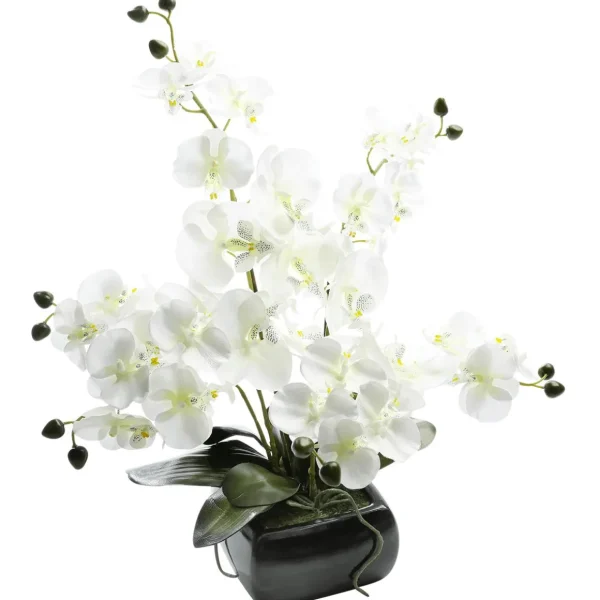 Zimmerpflanzen | Kunstblumen^DecoWoerner Kunstpflanze Orchidee In Schale , 40 Cm weiß