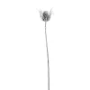 Winterdeko | Äste & Zweige^DecoWoerner Kunstzweig Distelzweig Beeist 74 Cm weiß